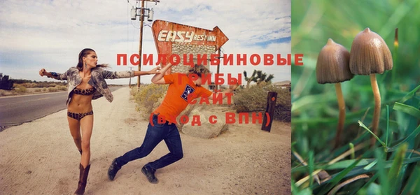 кокаин перу Белокуриха