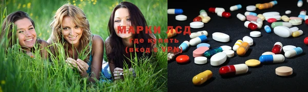 мяу мяу мука Баксан