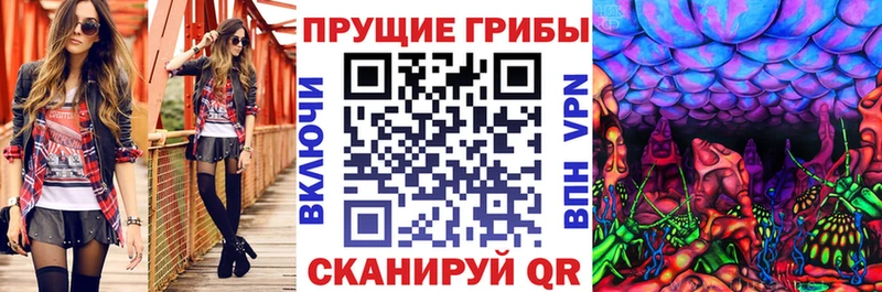 Галлюциногенные грибы Cubensis  цены   Заволжье 