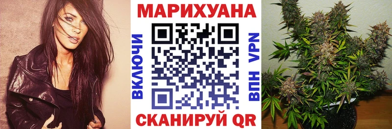 МАРИХУАНА сатива  как найти   Заволжье 